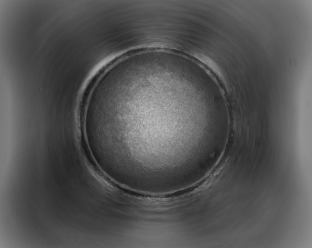 X0000088181120200705221636