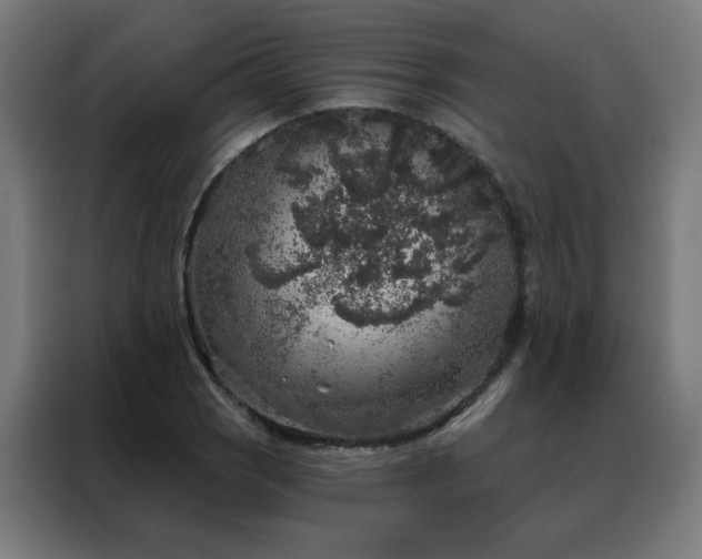X0000088181121200705221636