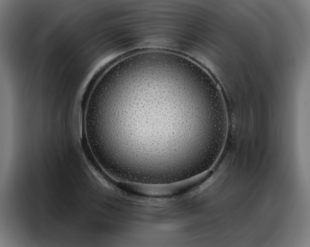 X0000088181123200705221637