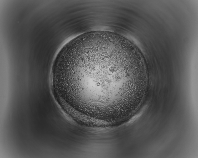 X0000088181125200705221637
