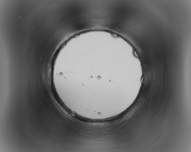 X0000088181126200705221637