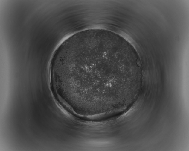 X0000088181127200705221637