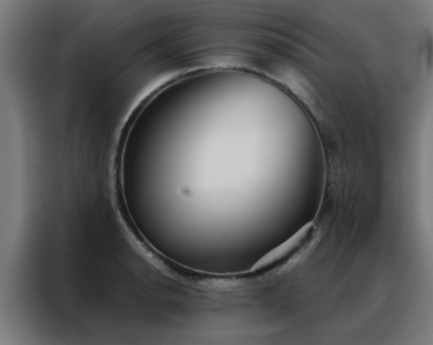 X0000088181134200705221637