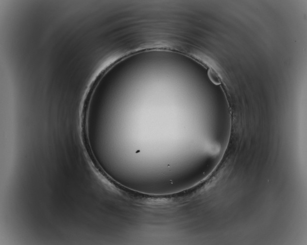 X0000088181135200705221637