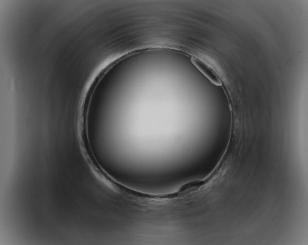 X0000088181136200705221637