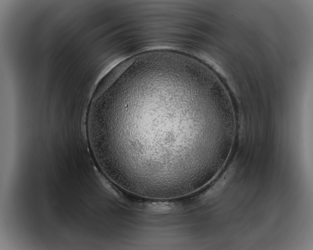 X0000088181137200705221637
