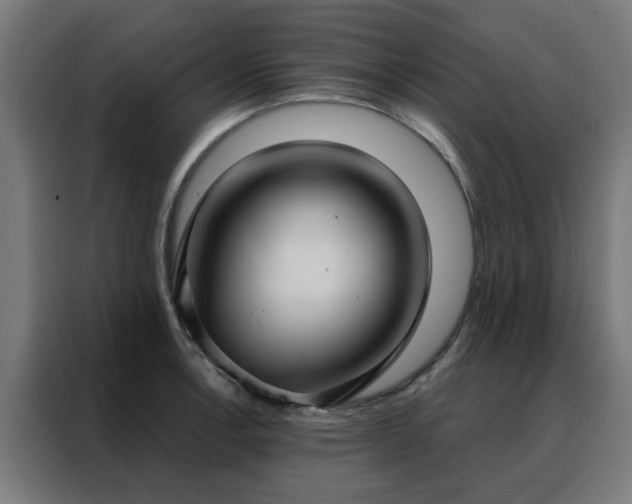 X0000088181138200705221637