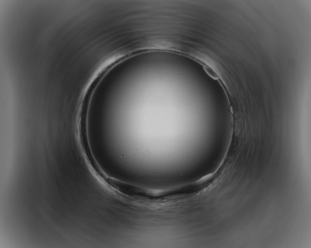 X0000088181139200705221637