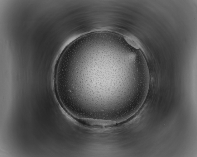 X0000088181143200705221637