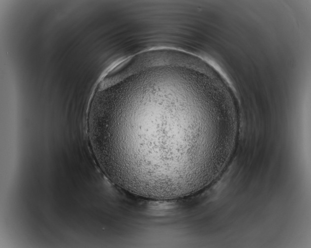 X0000088181145200705221637
