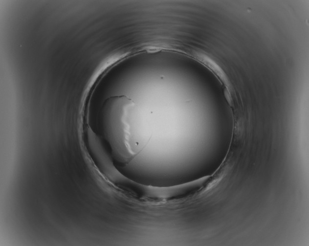 X0000088181146200705221637