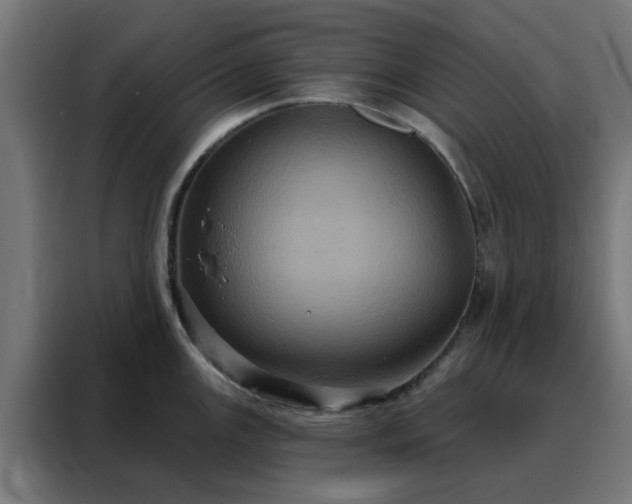 X0000088181147200705221637