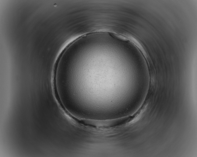X0000088181149200705221637