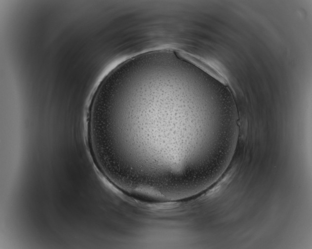 X0000088181151200705221637