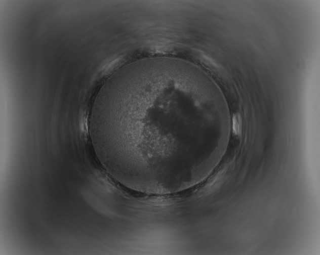 X0000088181155200705221636