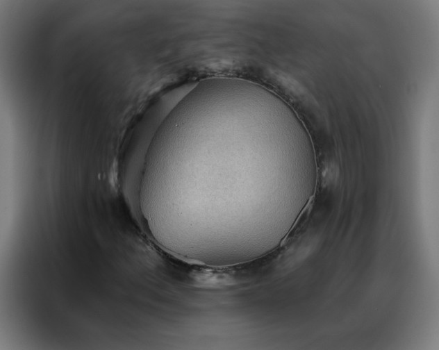 X0000088181156200705221636