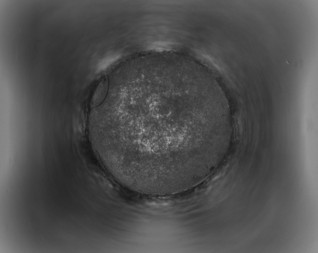 X0000088181158200705221636
