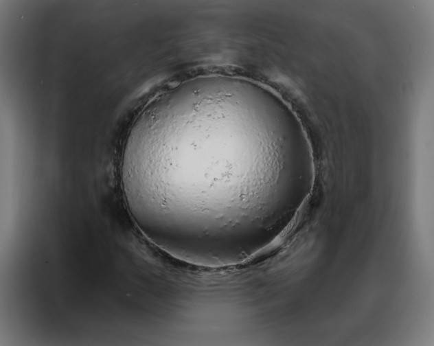 X0000088181159200705221636