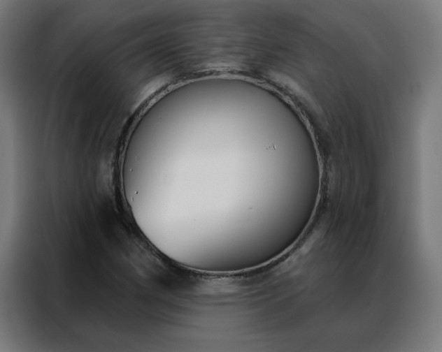 X0000088181162200705221636