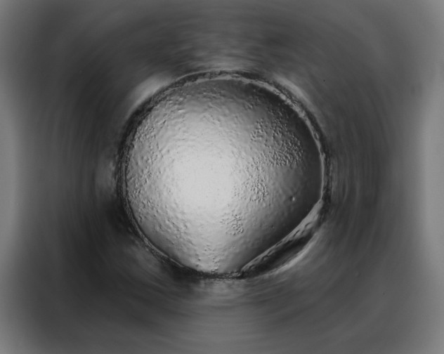 X0000088181163200705221636