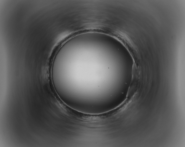 X0000088181164200705221636
