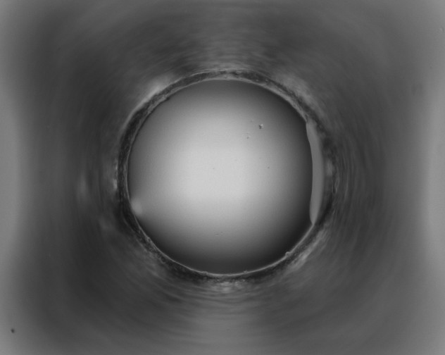 X0000088181165200705221636