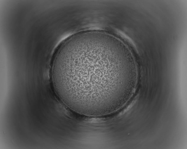 X0000088181166200705221636