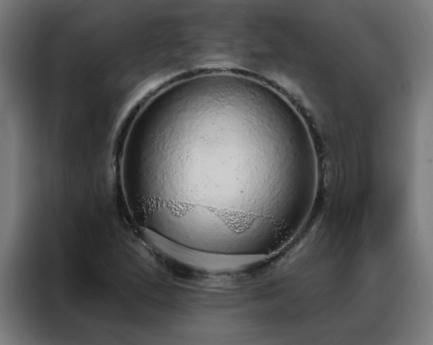 X0000088181167200705221636