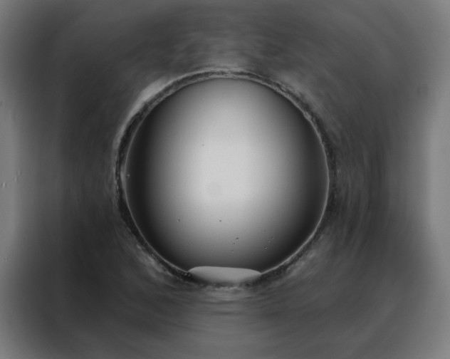 X0000088181168200705221636