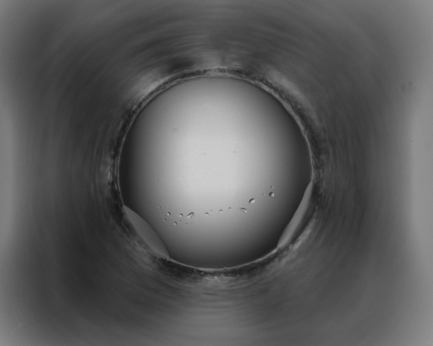X0000088181169200705221636