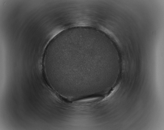 X0000088181170200705221636