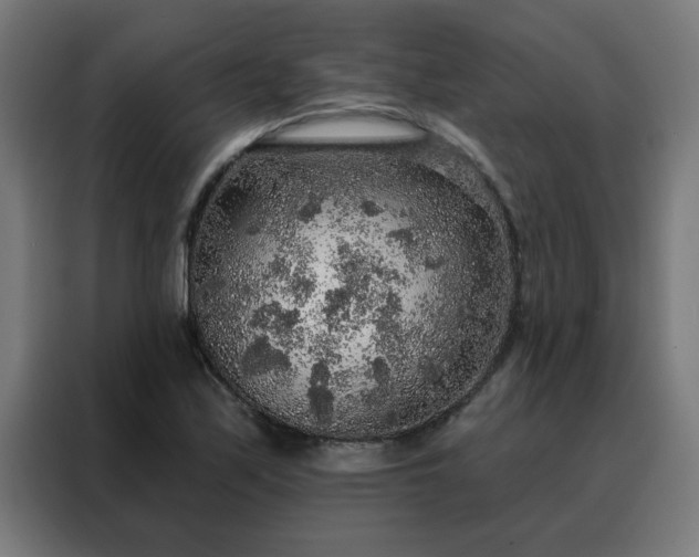 X0000088181171200705221636
