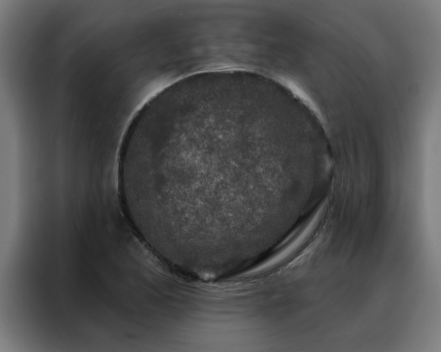 X0000088181173200705221636