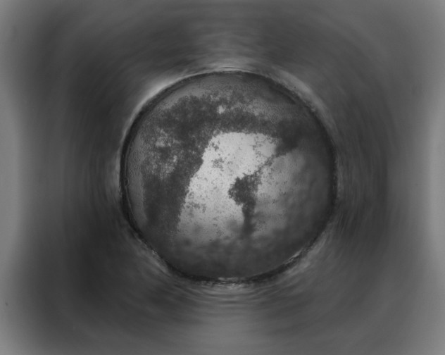 X0000088181174200705221636