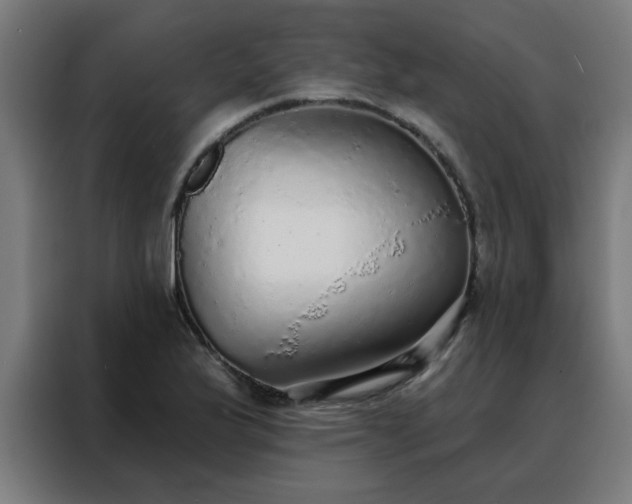 X0000088181175200705221636