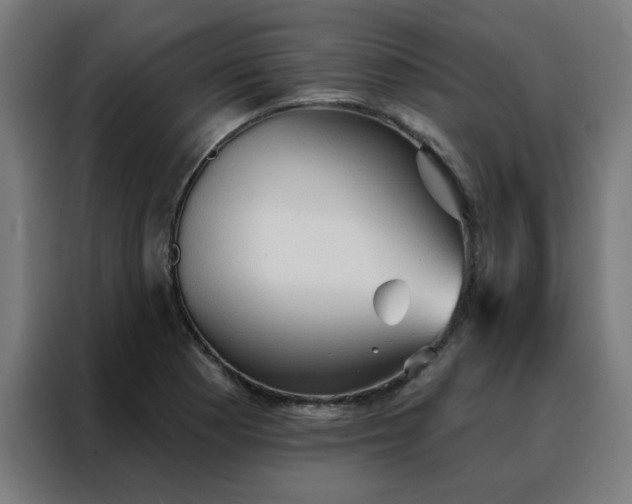 X0000088181177200705221636