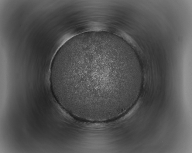 X0000088181178200705221636