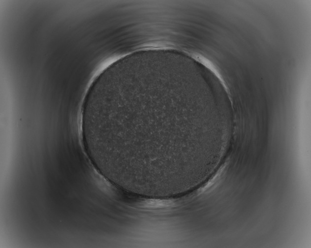 X0000088181179200705221636