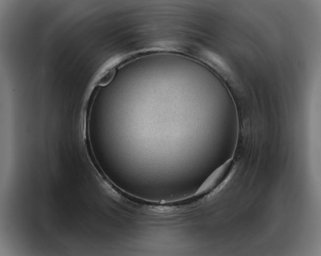 X0000088181180200705221636