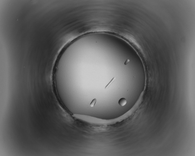 X0000088181181200705221636