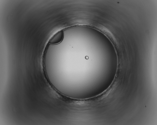 X0000088181182200705221636