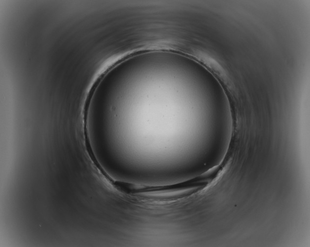 X0000088181184200705221636