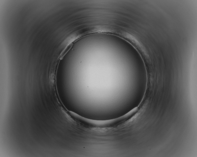 X0000088181185200705221636