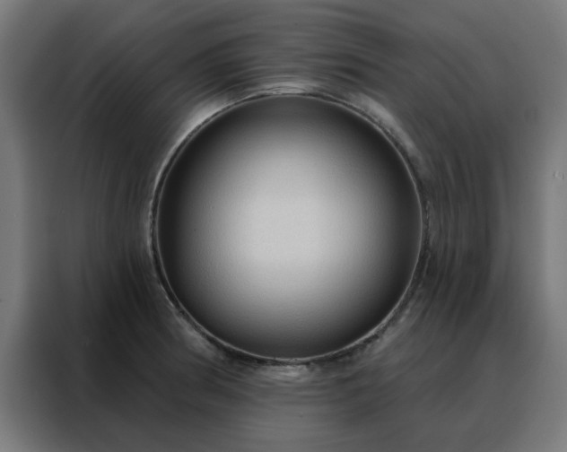 X0000088181186200705221636