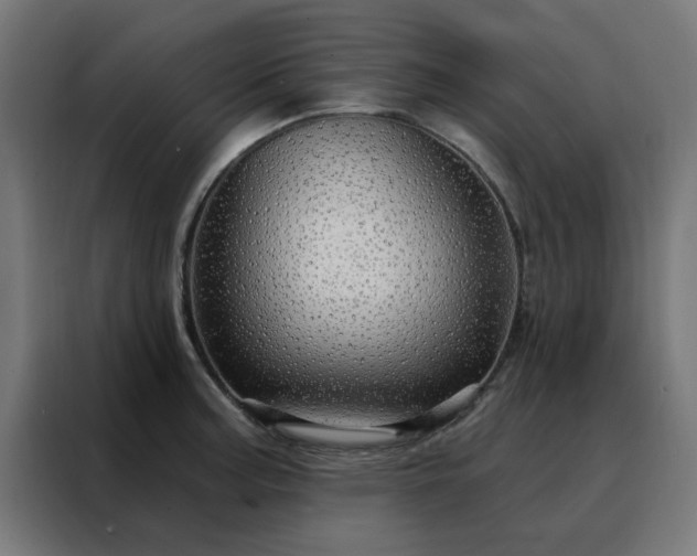 X0000088181187200705221636