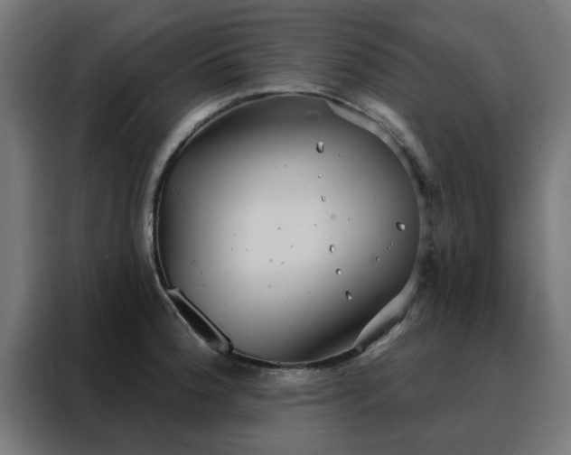 X0000088181188200705221636