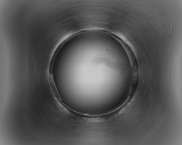 X0000088181189200705221636