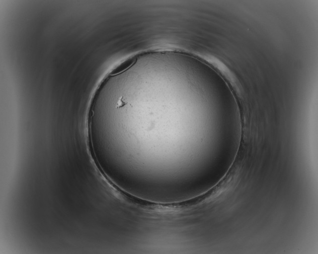 X0000088181191200705221636