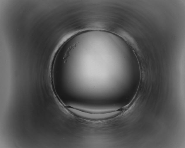 X0000088181192200705221636