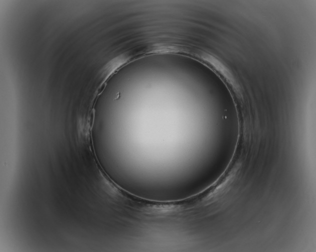 X0000088181193200705221636